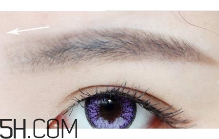 ��ü�̳�ͼ�� ��üë�ļ���ͼ��һ��ü